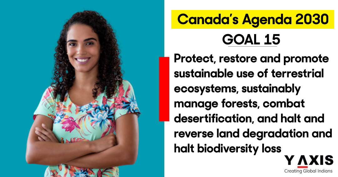 Goal 15 is to protect our ecosystems and promote sustainable forest management